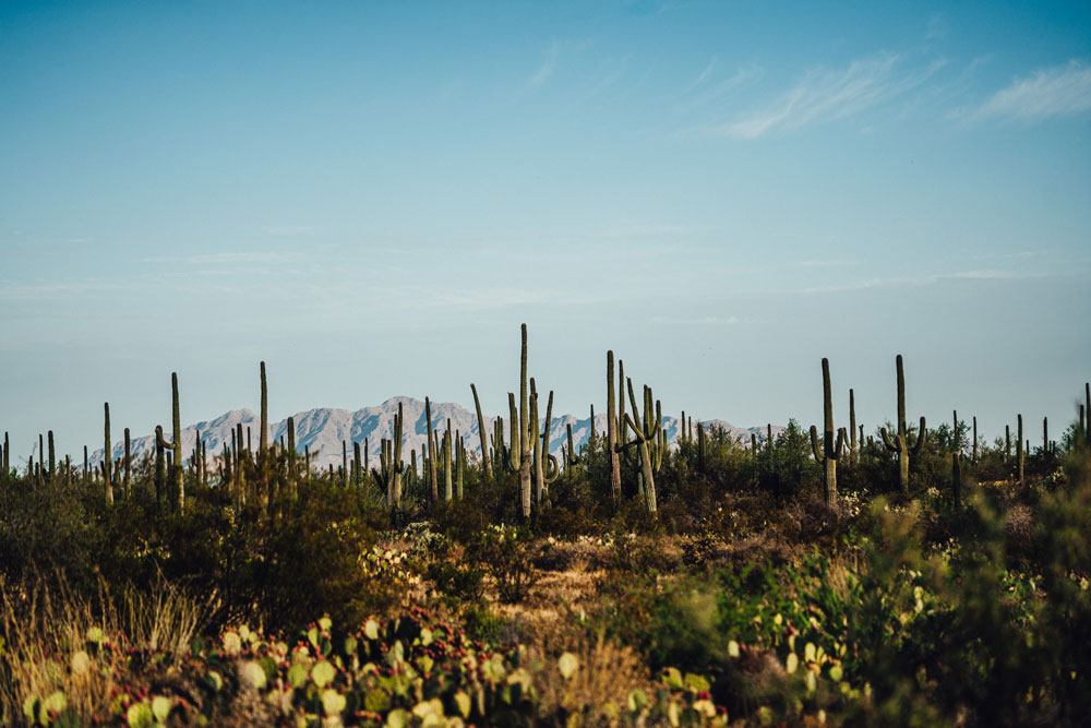 HONDA-social-campaign-1